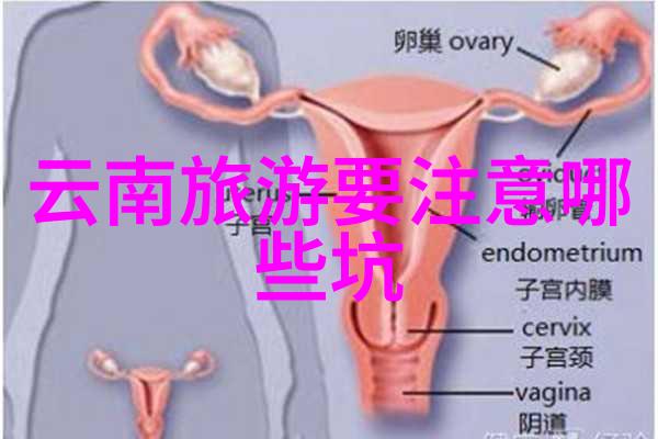 穿越千年寻找失落的轮回之城