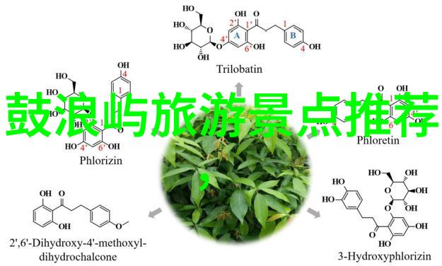 最游记探秘世界奇妙旅程全球文化体验