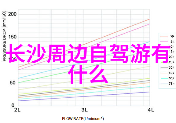 品味南京路探索上海美食之冠的口味秘密