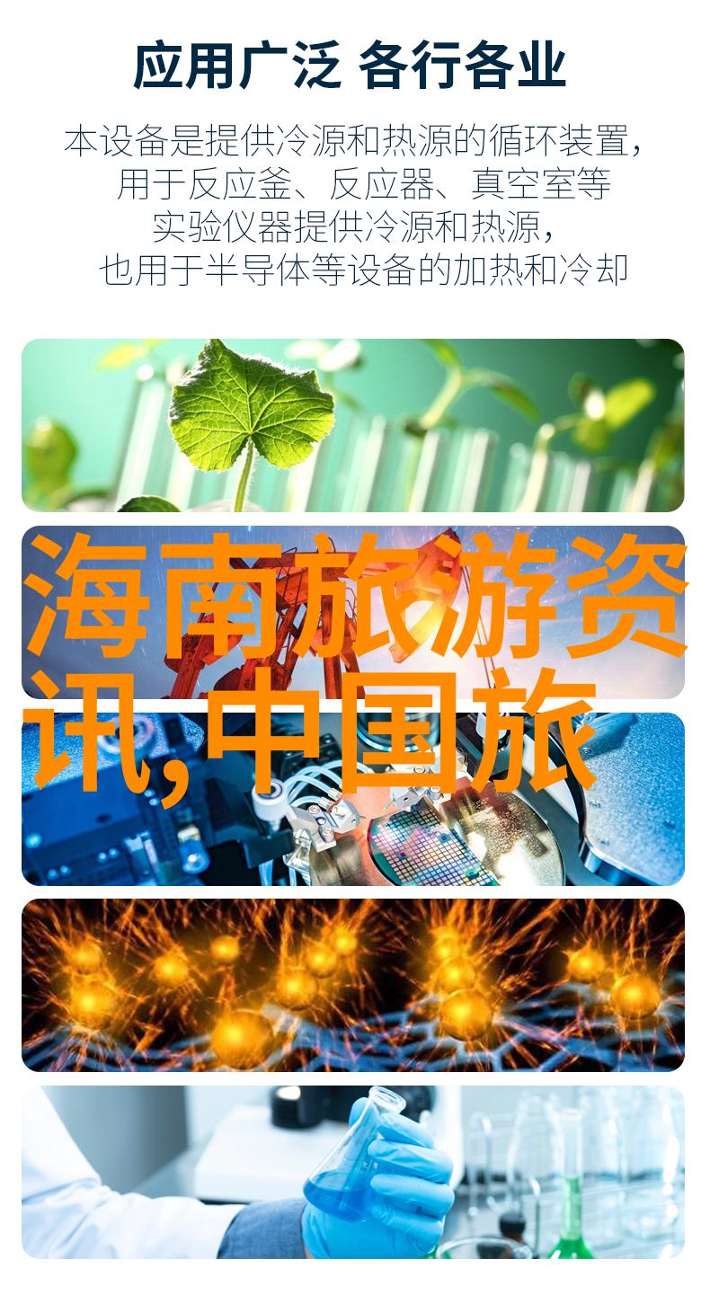 老师迈开腿让尝尝你的森林教育探索自然之旅