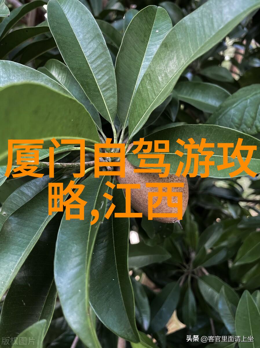 小普陀寺与周边地区的文化交流有哪些例子