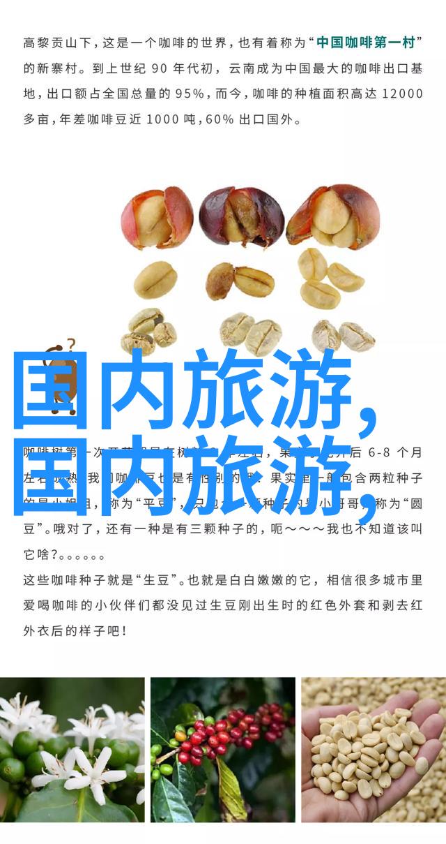 在贵州这片神秘的土地上你准备探索哪些隐藏的宝藏