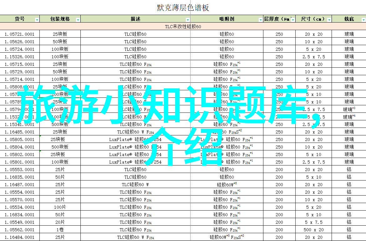 团建活动策划我是如何让同事们在森林营地里变成一家人