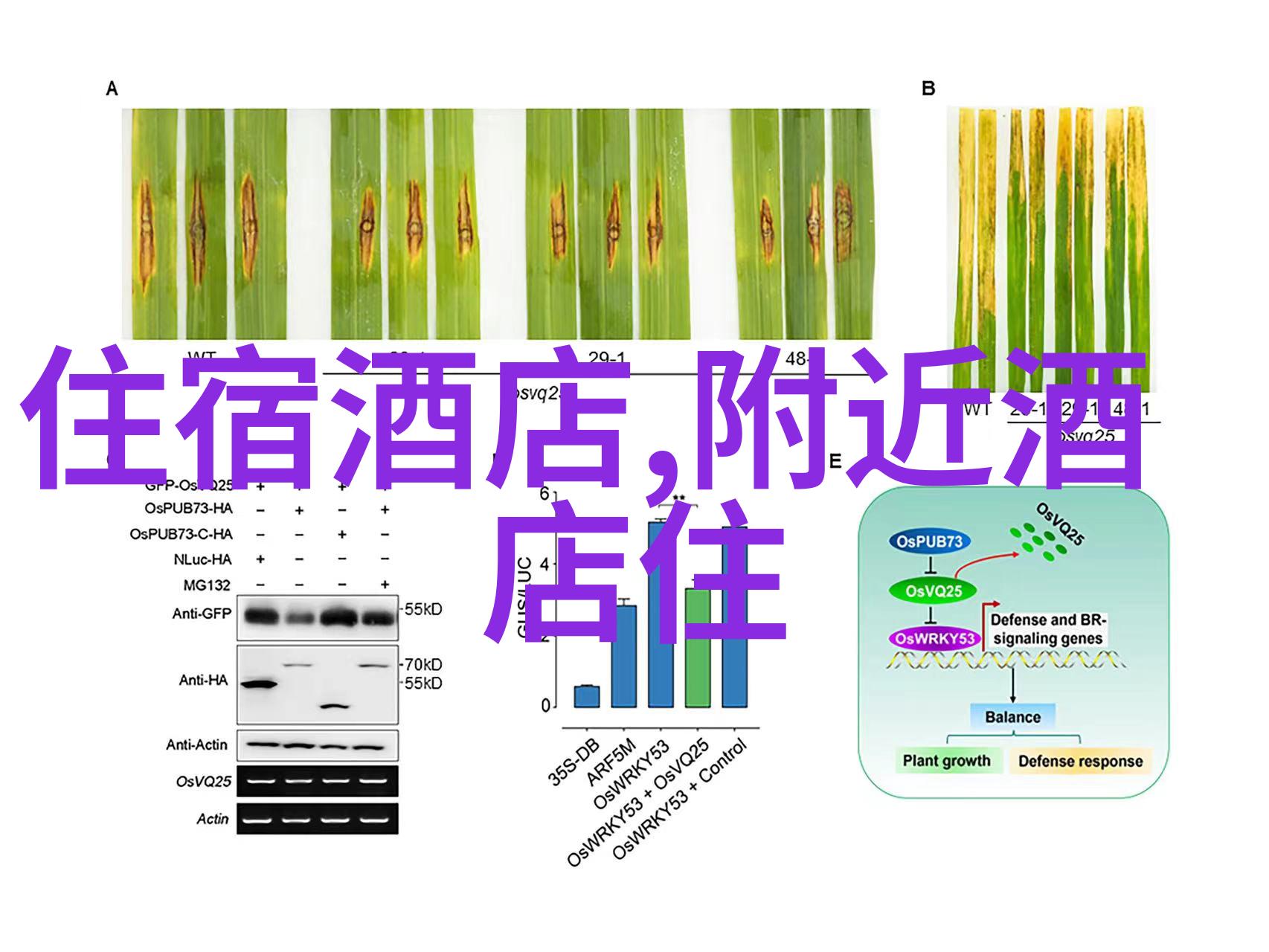 小手点心解锁孩子们的甜蜜秘密