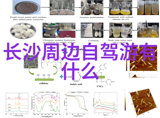 小吃特色培训传承风味创新技艺