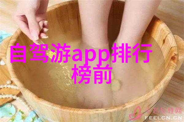 鱼鱼桌面流动艺术与静态创意的交响