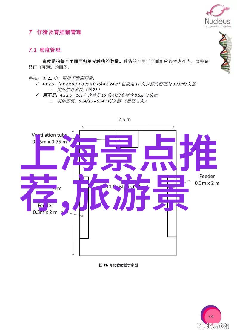 一万次心动情感的无声诗篇