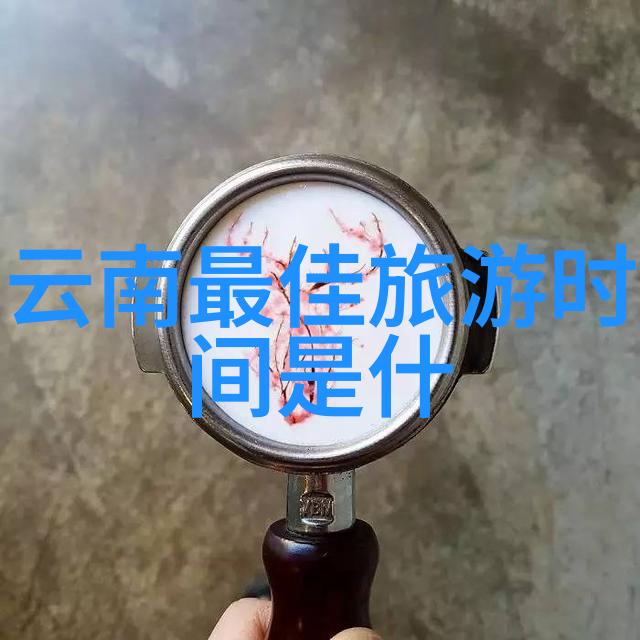 游记800字初三作文我的夏天从海边到城市的奇妙旅行