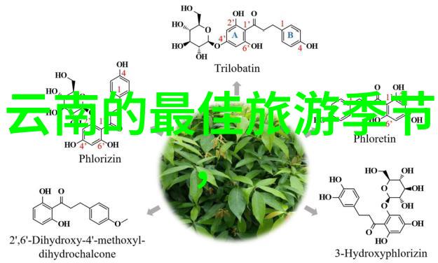 婺源旅游攻略芙蓉镇与凤凰古城哪个更迷人去那里游玩探索这两个美丽小镇的独特魅力