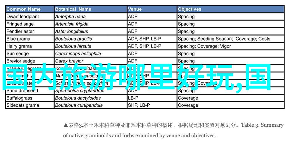 长沙秘境揭秘一场穿越千年的奇幻之旅