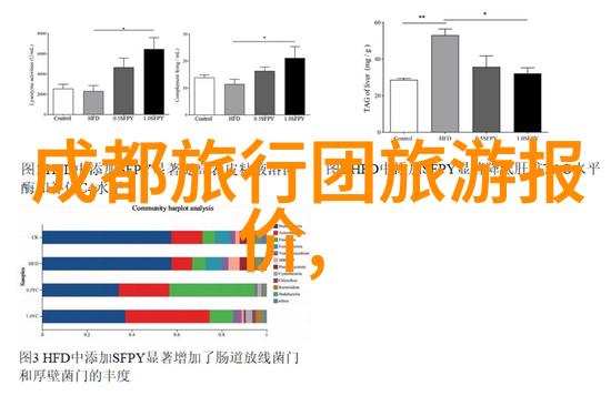 如何选择合适的出境保险以保障旅行安全