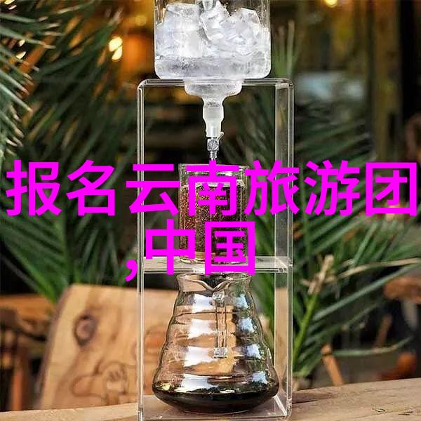 精彩纷呈的节庆活动参加长春国际电影节的心得分享