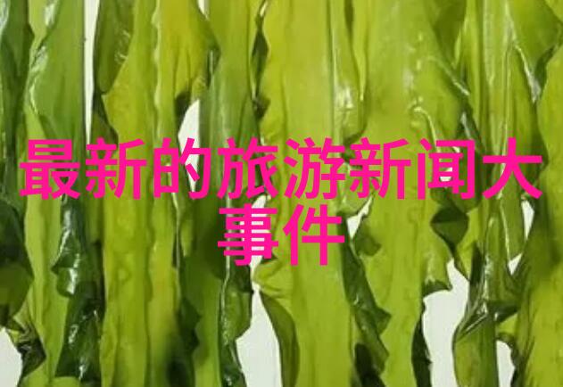 周游郑州从地铁到古城自驾乐无边