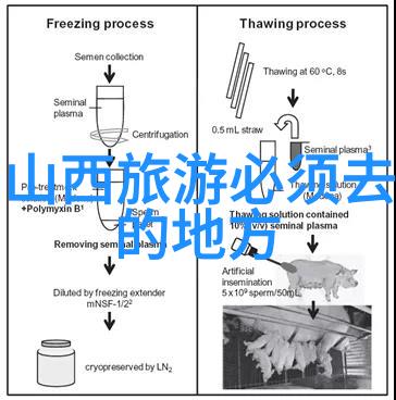 芜湖旅游攻略探索千岛湖畔的美丽风光