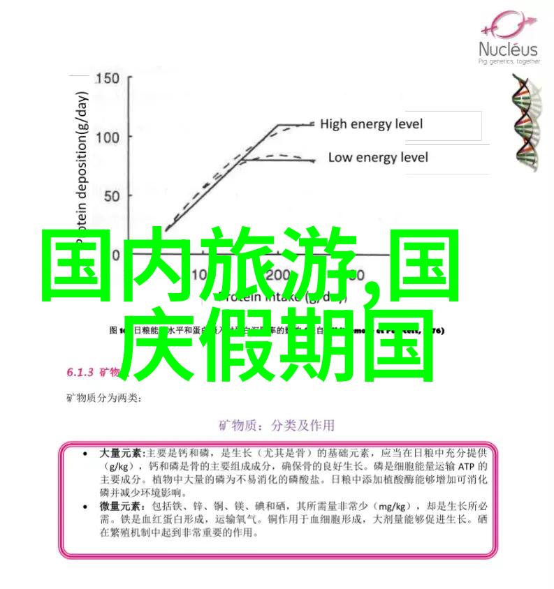 美丽旅行探索世界的旅拍艺术