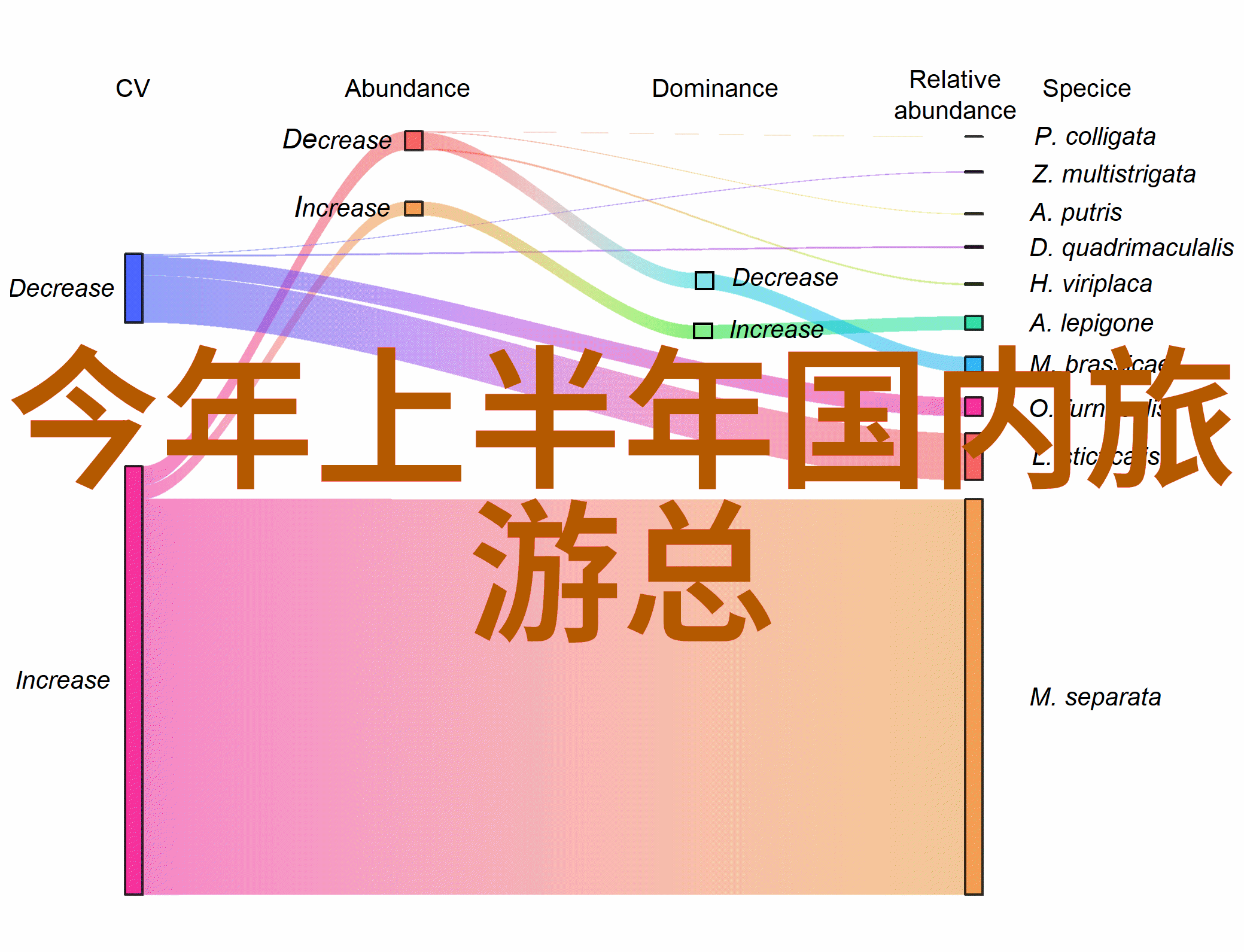 贵州旅游线路最佳方案来到贵州你必须跟我这趟游走的路