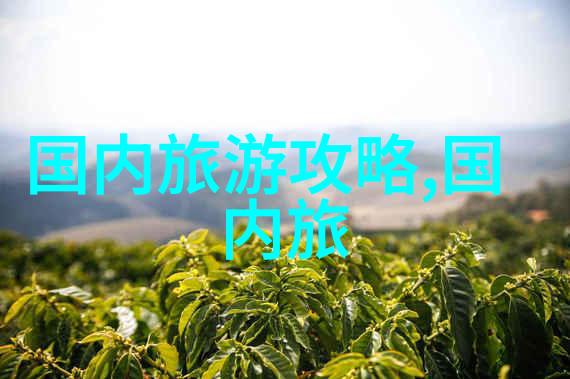 湛江哪里好玩的景点推荐 - 珠海风情探索湛江最美丽的海岸线与文化遗产