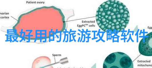 北京到云南之旅精彩团报价解析