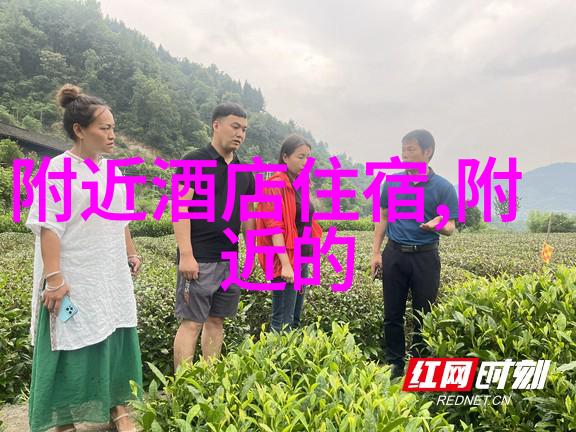 南方最火的小吃加盟店我是怎么发现那家让人欲罢不能的南方小吃加盟店的