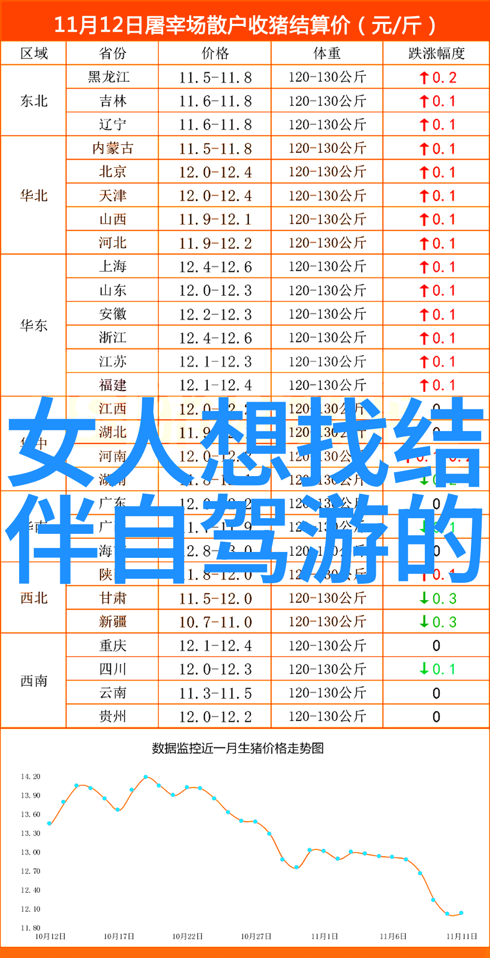 中国旅游报社领航者与探索者之间的桥梁