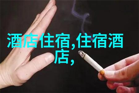 探索世界上最好玩的地方西安奥地利签证中心导航