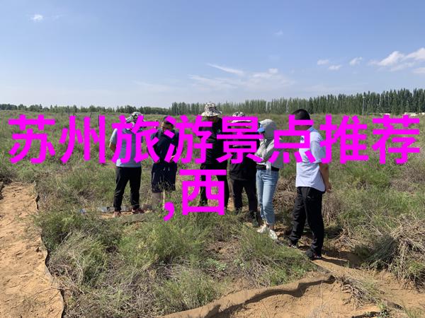 公司团建拓展我们一起脱颖而出创意无限的团队挑战大冒险