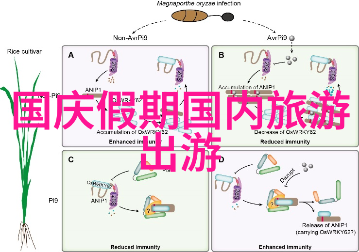 印度尼西亚的宝石班达海岛在世界十大名单上的位置