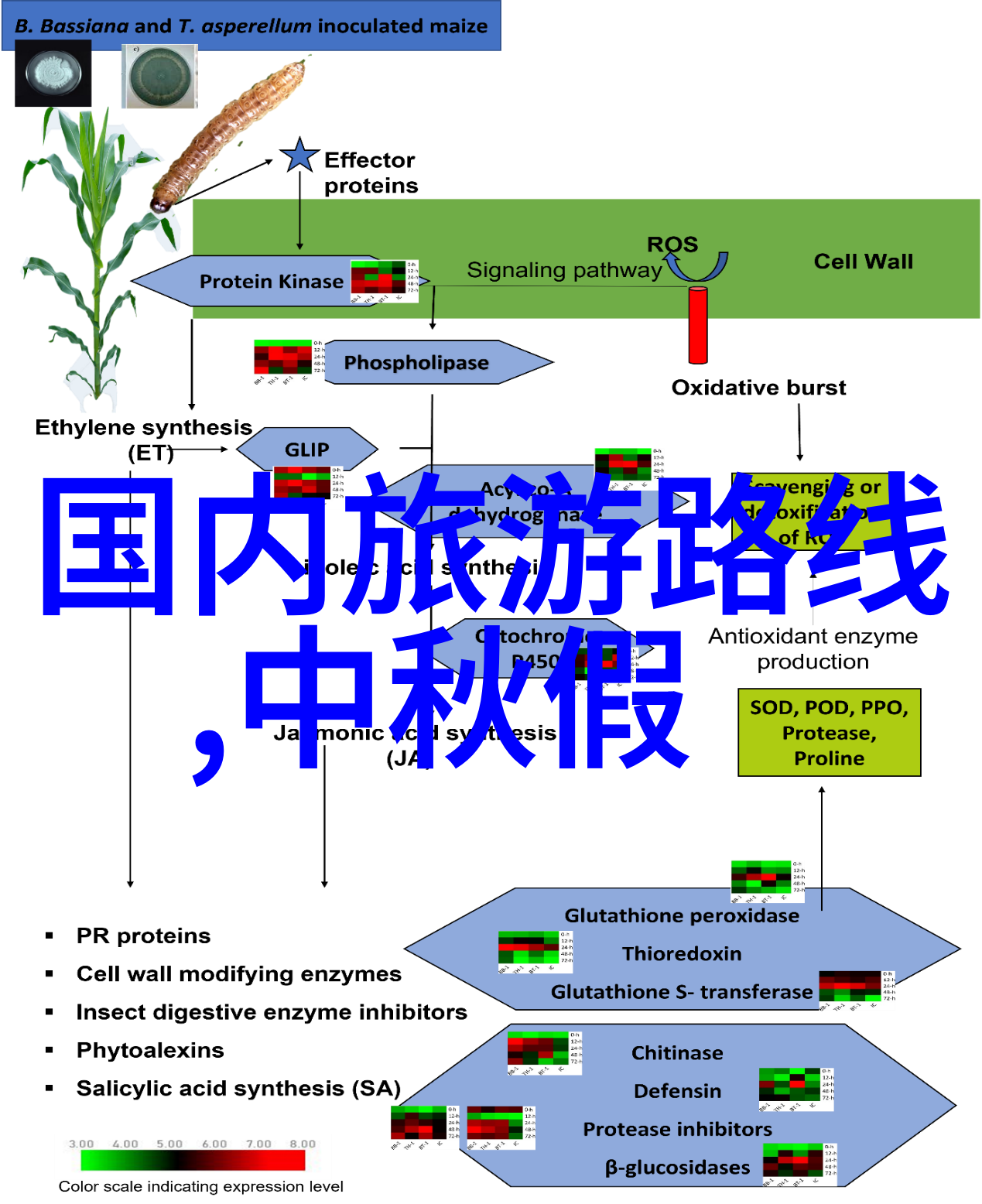 掘秘湘江畔长沙周边自驾游必去景点