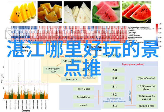 大连自由行海滨城市的都市迷雾与沙漏时光