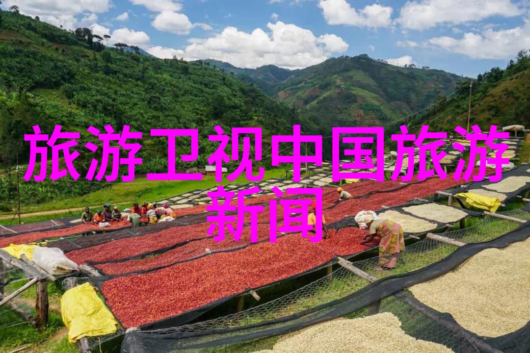 青春环游记第三季免费观看完整版回味青春旅途的每一个瞬间