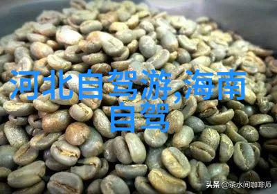 全国各地特色美食-一路风味探索中国美食的文化篇章