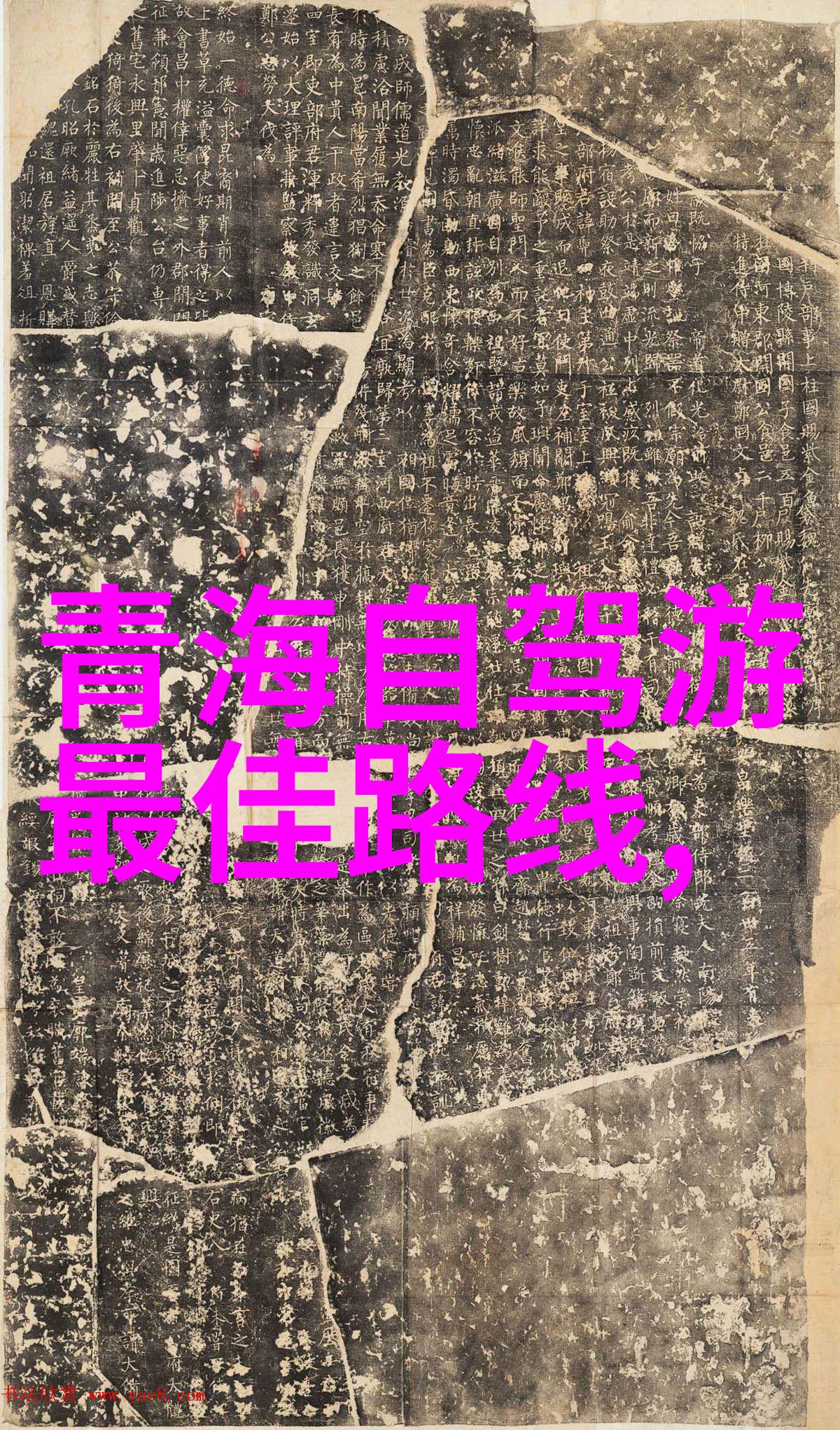 探秘新天地2021年最热门的旅行目的地揭秘