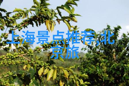 从甲仙到九曲堂台南市区景点有什么独特之处呢