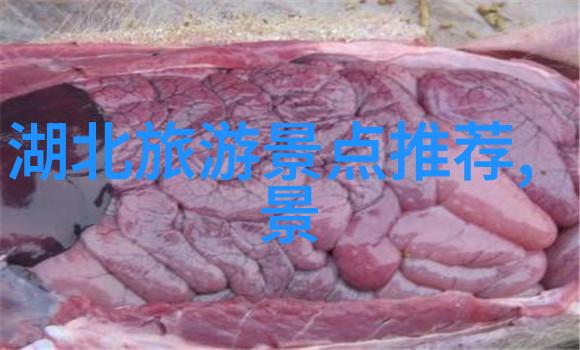 古言奇缘-翠绿园中多肉之花探秘古代养花技艺