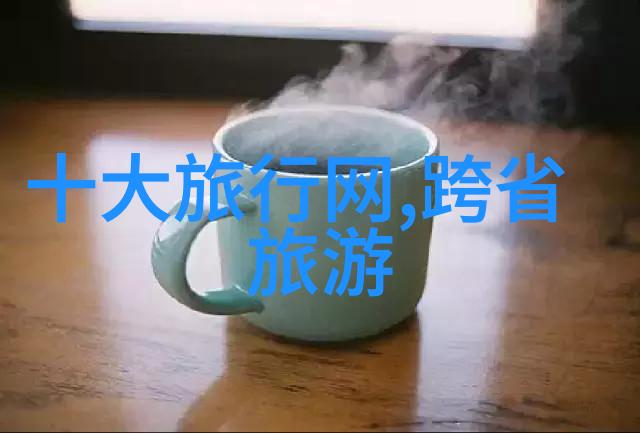 导游之家电子导游入口我是你的贴心小助手