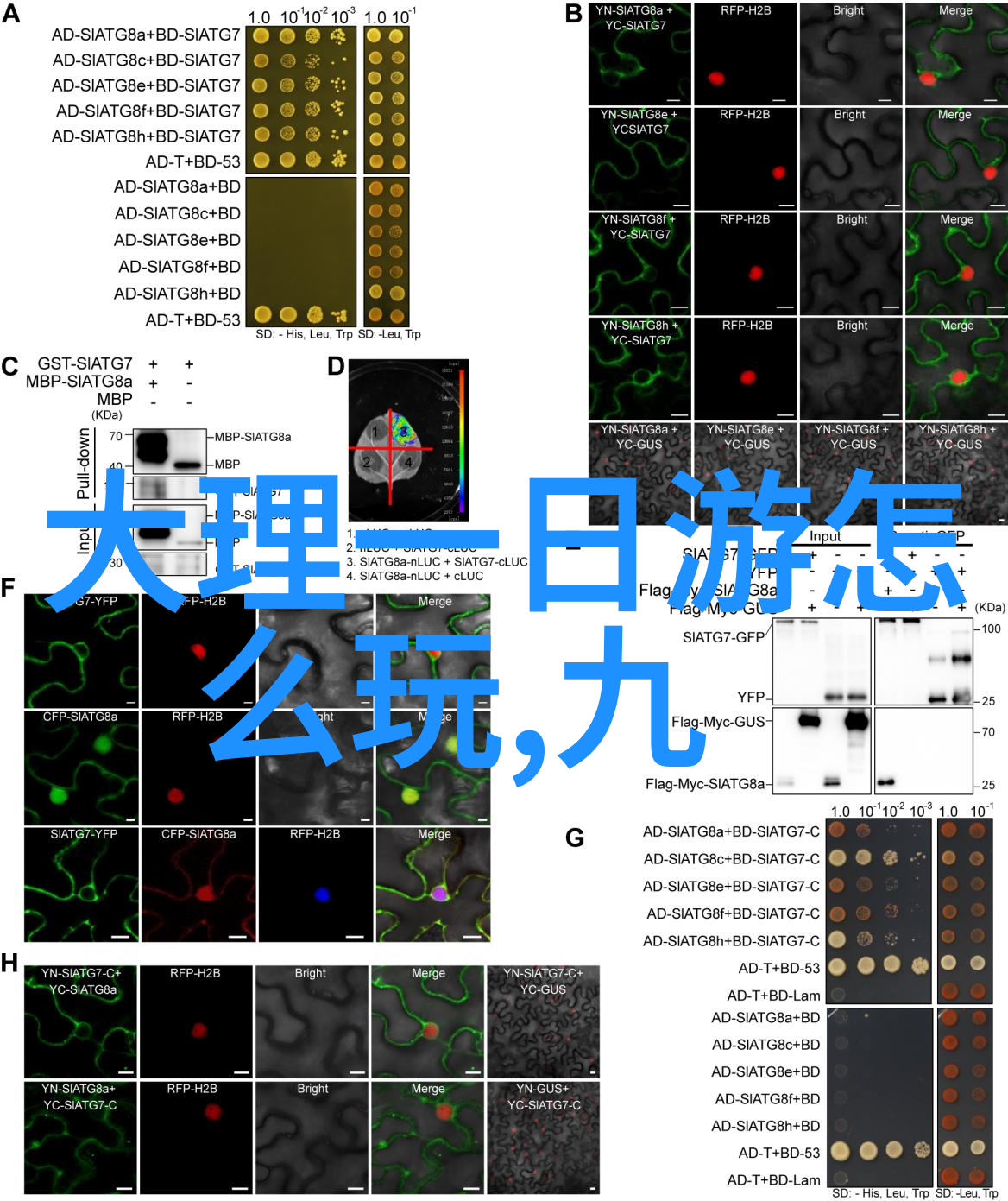 我就是赖你一段不平凡的相依为命