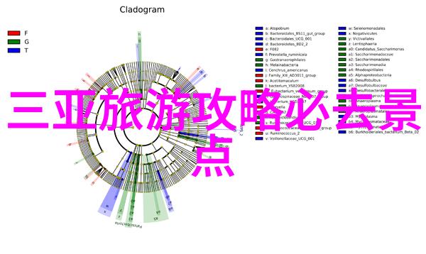 广州美食寻宝揭秘老字号的味道与故事