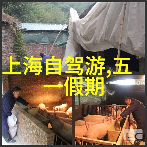 旅游我是怎么发现这些5种新型旅游方式的