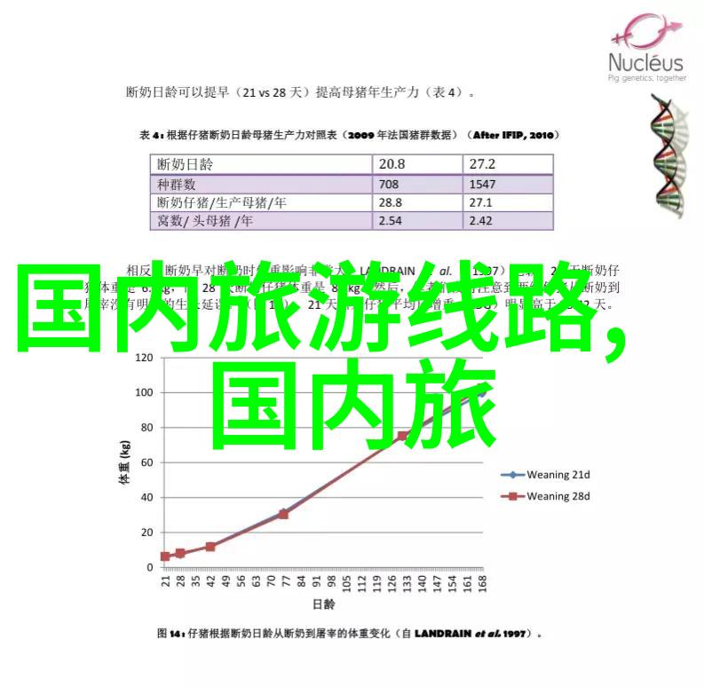 重庆大足石刻是如何保护的