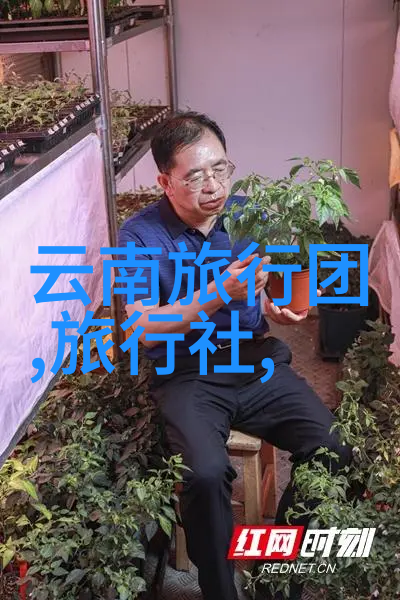 城中美味的纹理与色彩