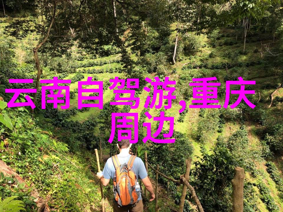 夏日童趣七月最适合带孩子旅行的城市选择