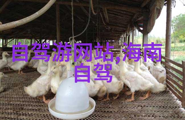 阿布吉措徒步探险揭秘最佳时机与户外小游戏趣味体验