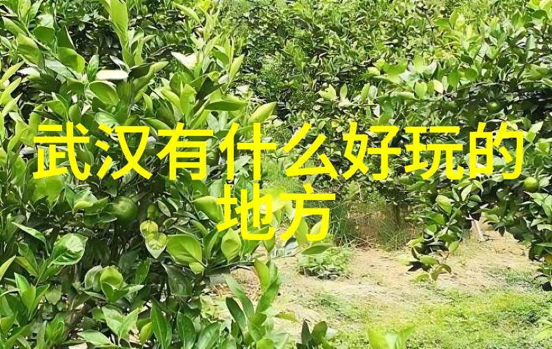 石家庄美食小吃培训学得像地道大师