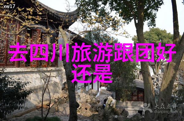 中国旅游网账号使用指南如何注册登录及管理中国旅行网站账户