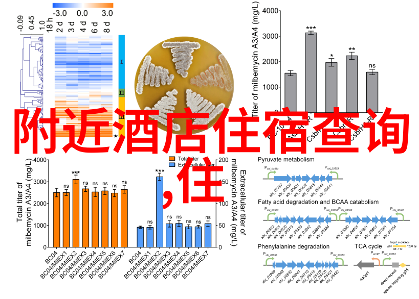 乡村旅游类的论文好写吗咱就来给你讲讲探索乡村魅力一篇让人心动的论文如何诞生