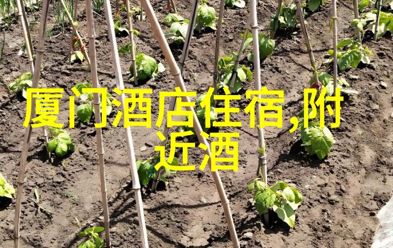 皖南川藏线自驾游最佳路线探索内蒙古最美草原公路之旅