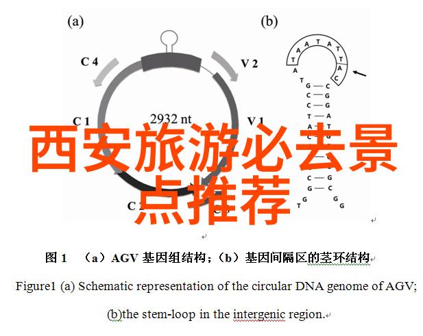 上海美丽风光探索市井与现代的双重魅力