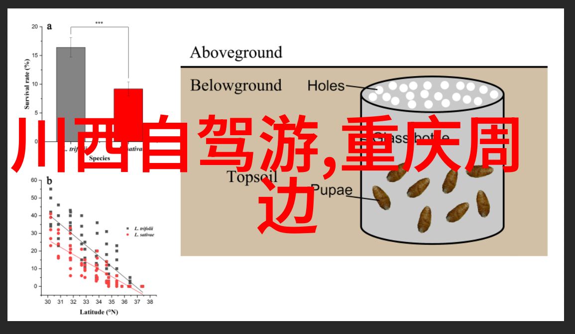 探秘中国美景自驾游必去之地