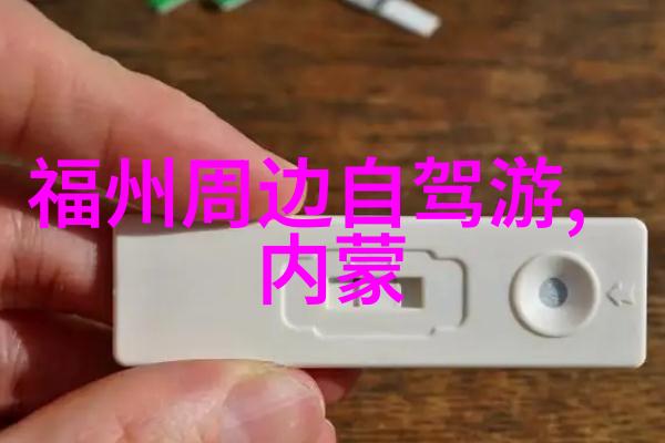 上海的秘密花园探索老城根区的隐秘角落