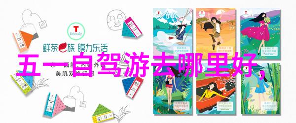 幼儿园户外活动的组织与实施策略创造性游乐安全管理环境适应性